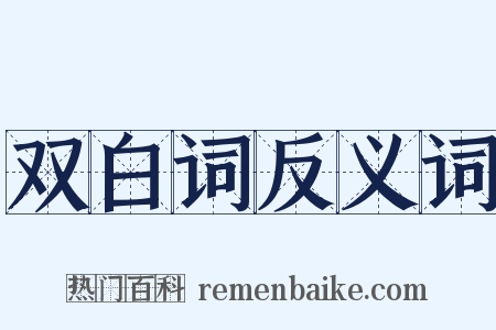 双白词反义词是什么意思的图片